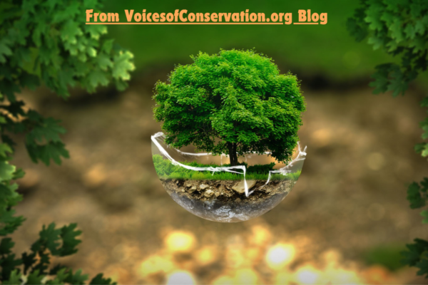 voicesofconservation.org blog