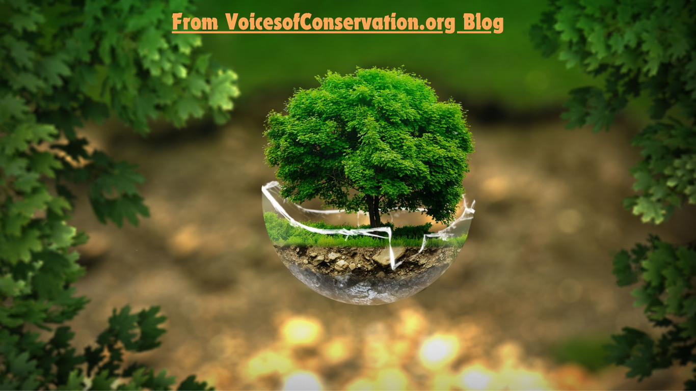 voicesofconservation.org blog