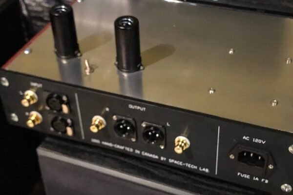 does space tech lab asp 10001-es has subwoofer output