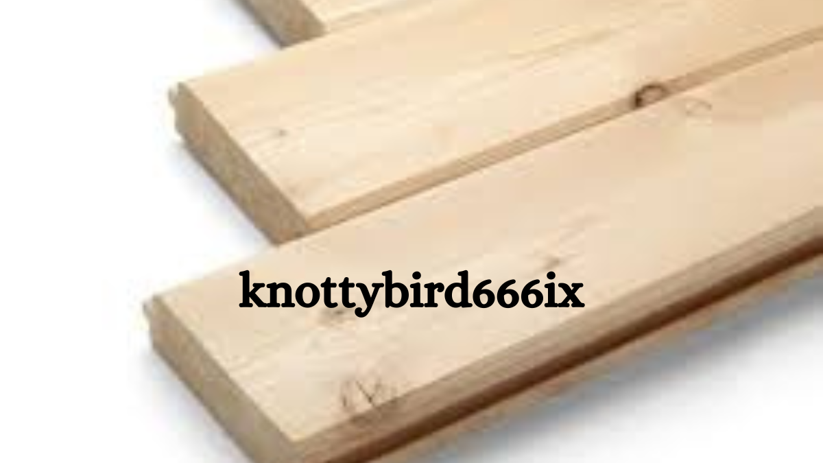 knottybird666ix